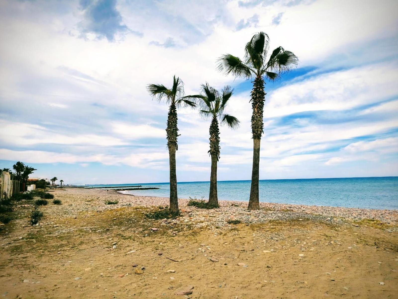 Apartamento Cerca De La Playa Moncófar Exteriér fotografie